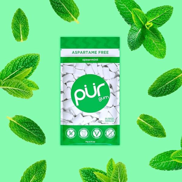 PUR Gum | Aspartame Free Chewing Gum | 100% Xylitol | Natural Spearmint Flavored Gum, 55 Pieces (Pack of 1) - Image 3